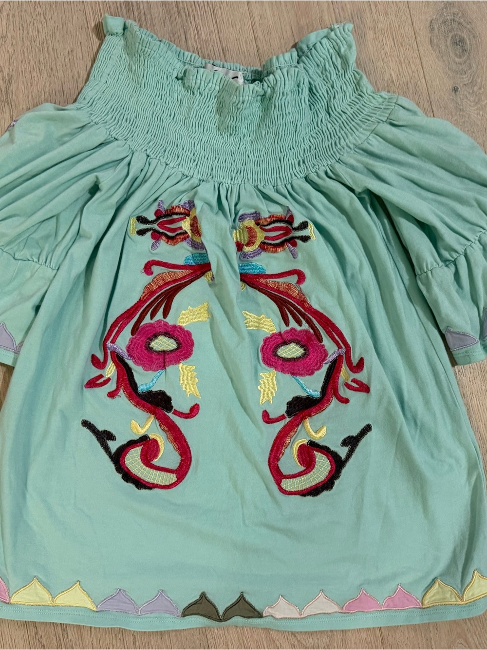 VAVA by Joy Han Mint Green Embroidered Peasant Blouse – M NWOT